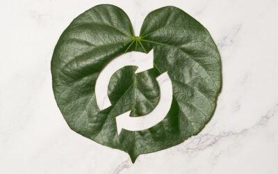 How Extended Producer Responsibility Can Transform Material Flows in Europe